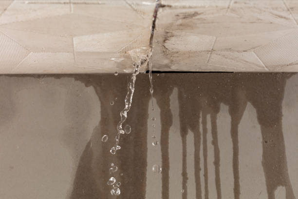 Professional Commercial Water Damage Restoration technician working in Schwertner, TX